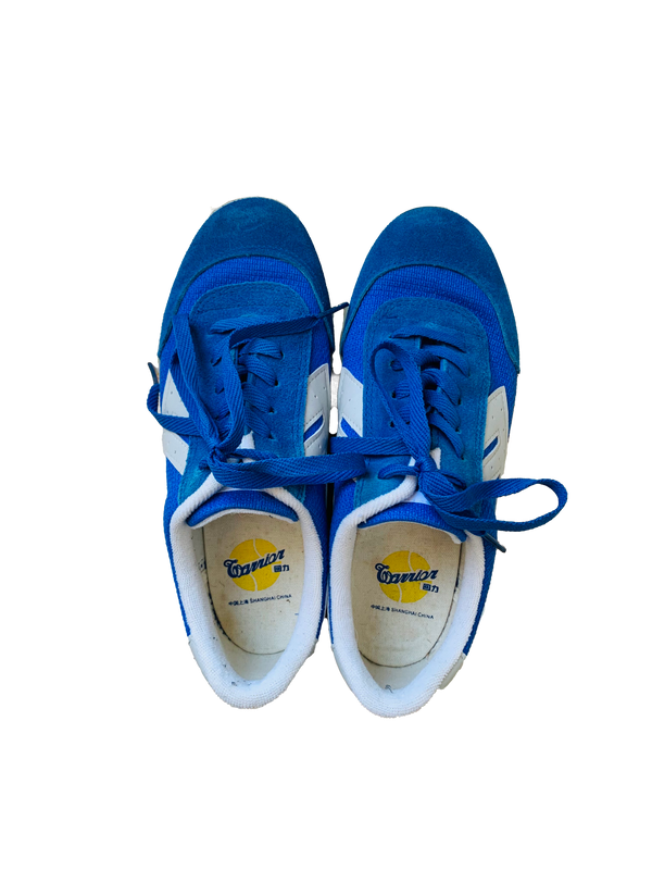 נעליים כחולות