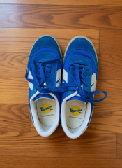 נעליים כחולות