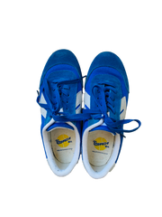 נעליים כחולות