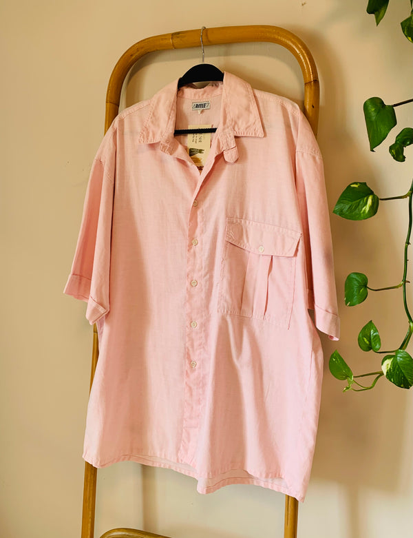 Pink shirt on a hanger against a beige wall with a plant in the corner